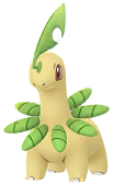 Bayleef