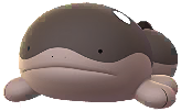 Clodsire