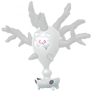 Cursola