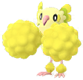 Oricorio (Pompom)