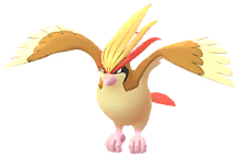 Pidgeot