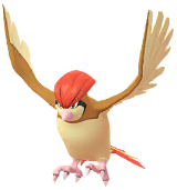 Pidgeotto