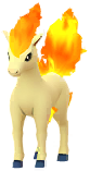 Ponyta