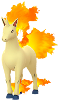 Rapidash