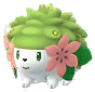 Shaymin